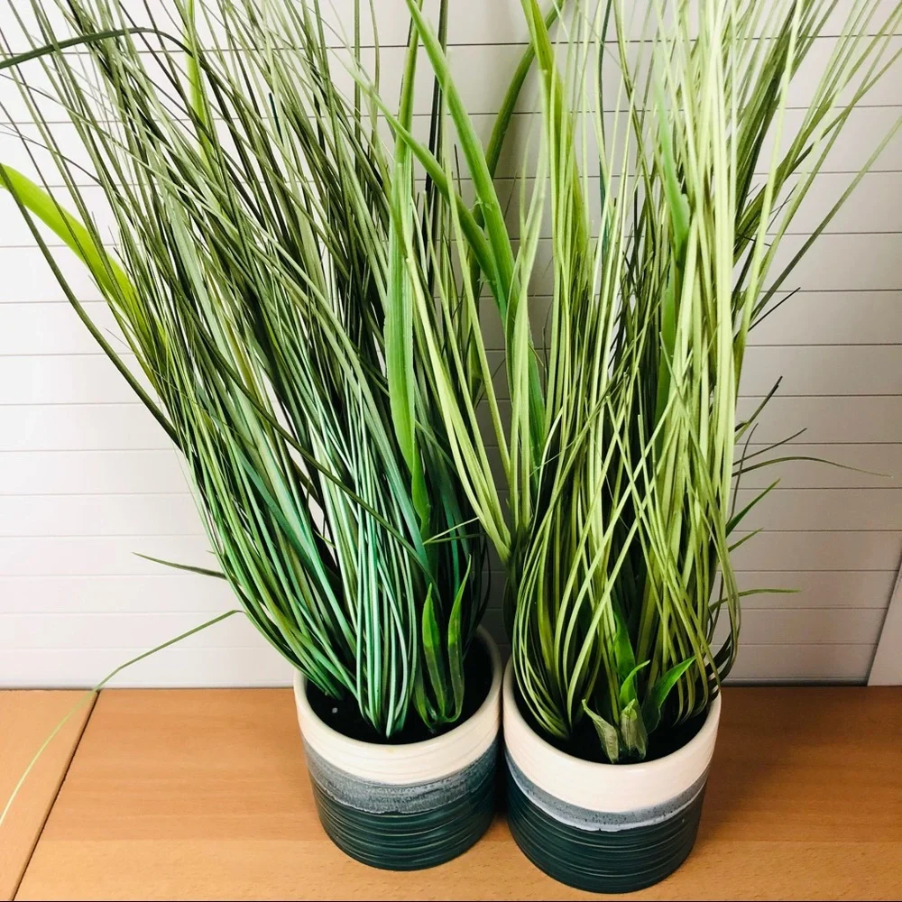 NWT 2Pack Crate&Barrel Artificial Onion Grass in Porcelain Pot